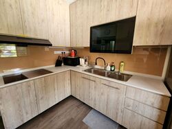 Tanjong Katong Road (D15), Apartment #498379471